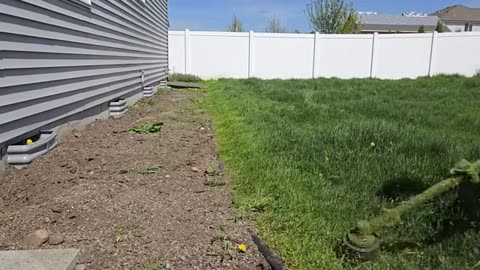 Clean It Up Or We Are Going To FINE YOU_part2