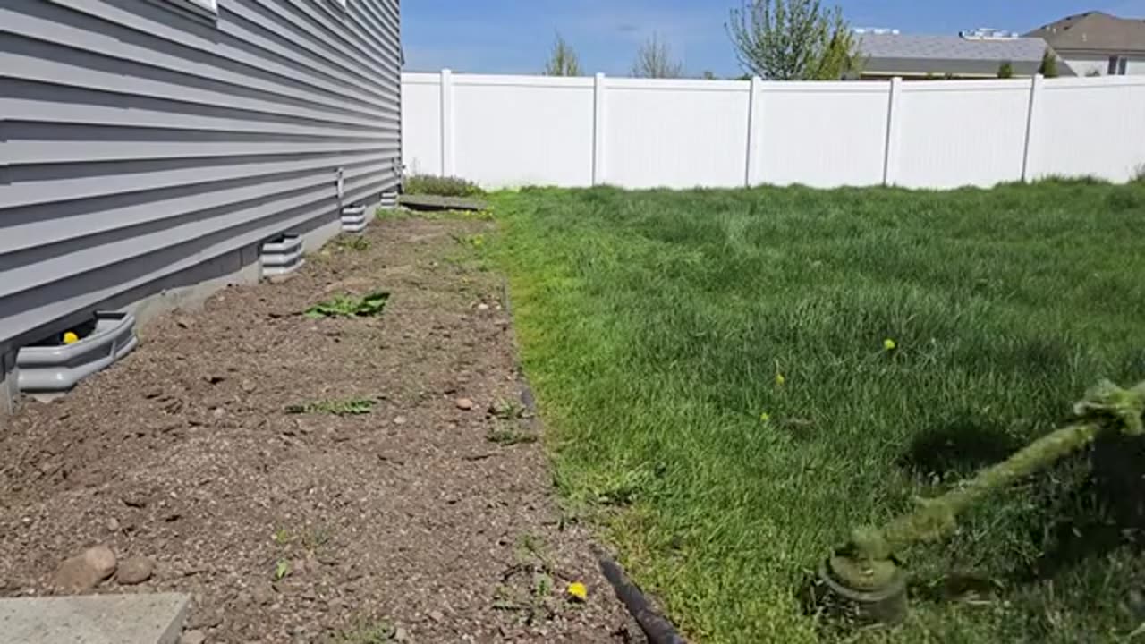 Clean It Up Or We Are Going To FINE YOU_part2