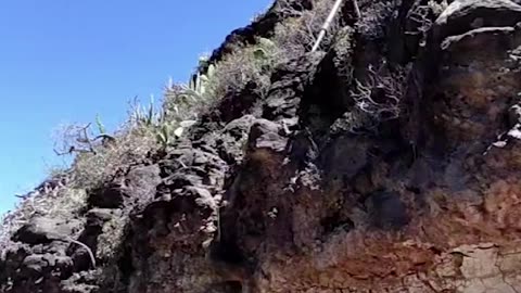 Man Demonstrates the "Shepherd's Leap"