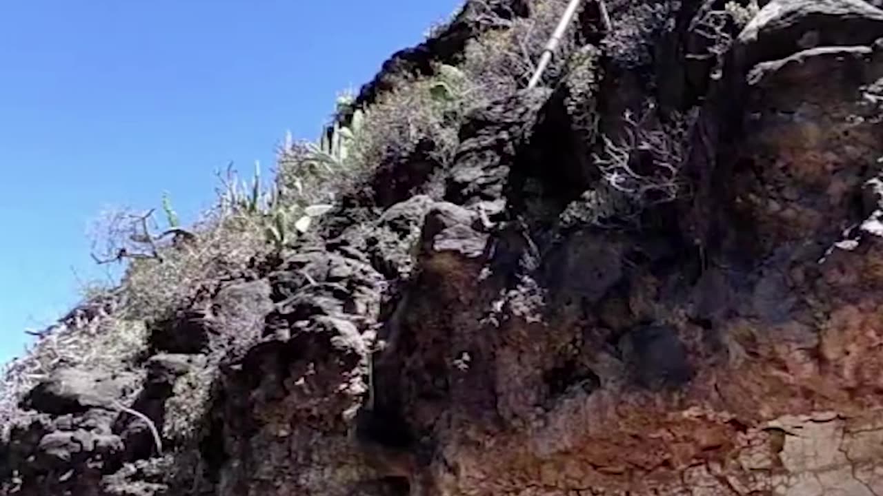 Man Demonstrates the "Shepherd's Leap"