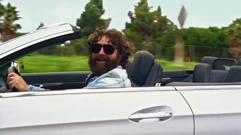 The Hangover: The Epic Giraffe Scene You Can’t Forget 🦒😂