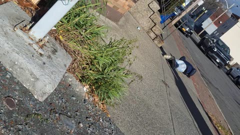 Whatever he is on is crazy!