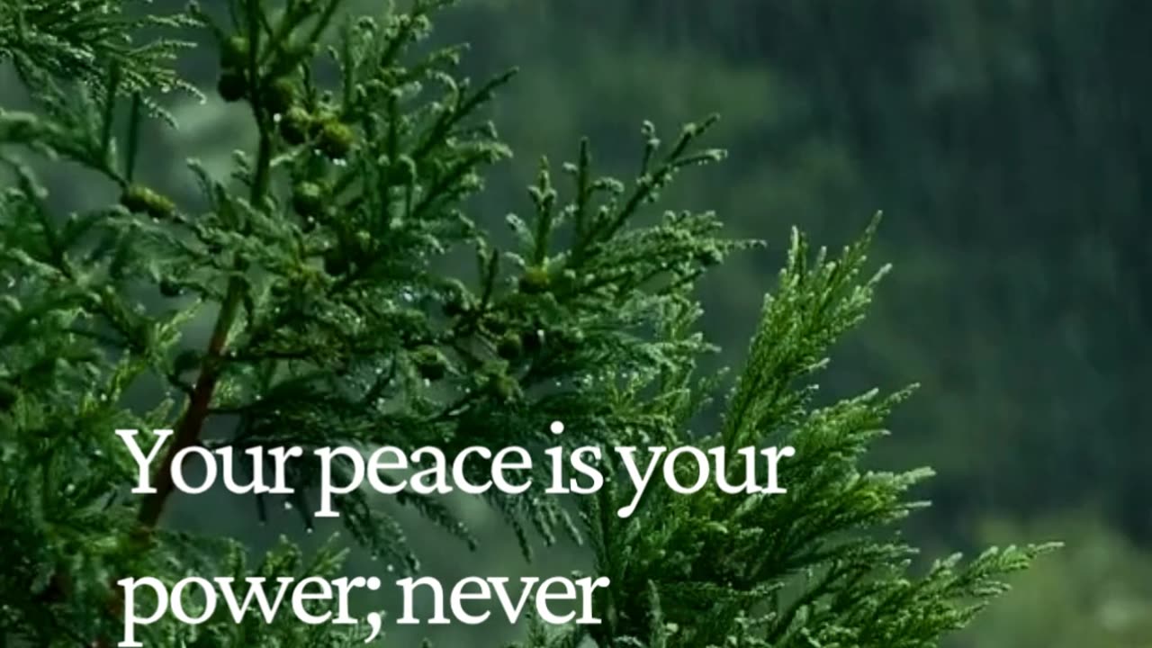 Never Trade Your Peace — It’s the Real Power Behind Every Success