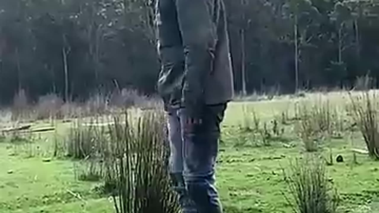 Real Life vs AI😂