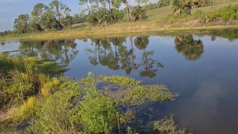 altra pescata in fiume innescando il vivo or river fishing with live bait, soddisfatto_part1