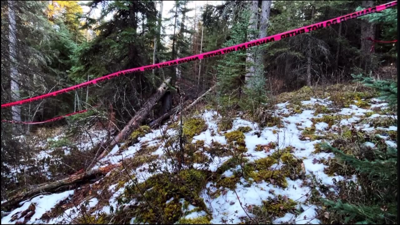 Probably the best Bigfoot footage you’ll ever see! 💯💯