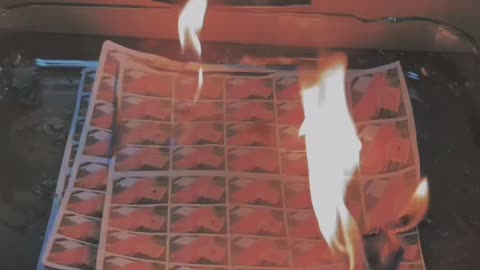 Tim Rifat TikTok Videos