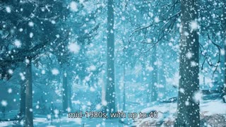 Unprecedented Snowfall Blankets Eastern Australia - 5th August 2025