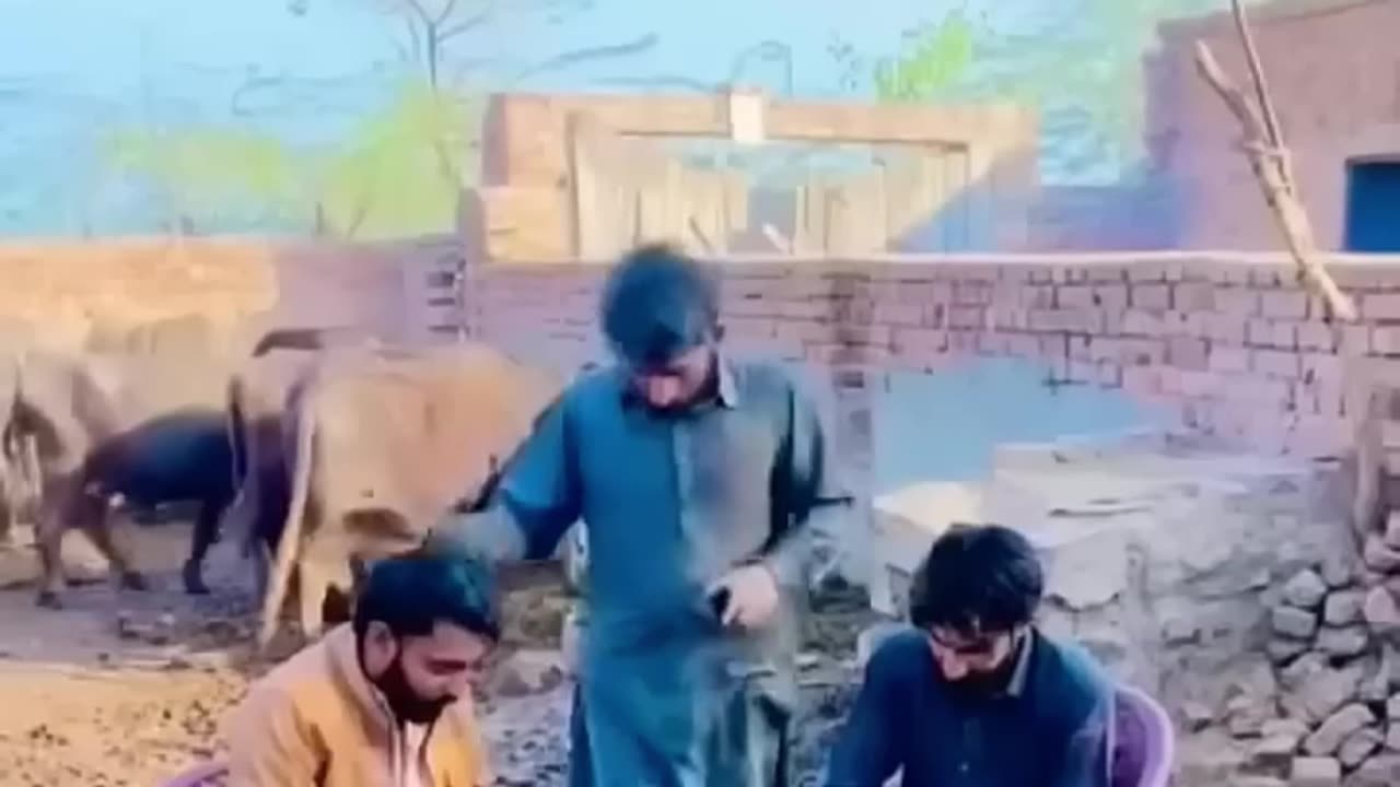 Best Funny Video (Follow My Channel)