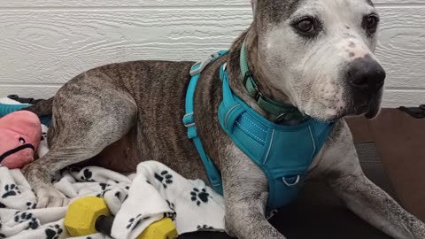 Rocky-PACC Alumni@TRN recovering seamlessly 2 weeks after some dental work20250518_124249126