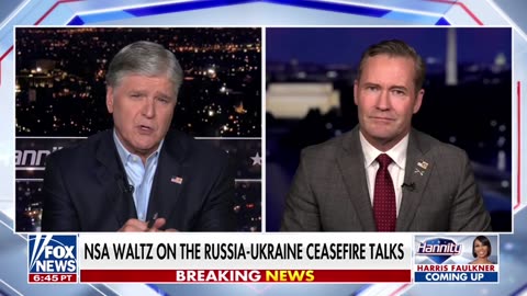 US Nat'l Sec. Adviser Mike Waltz