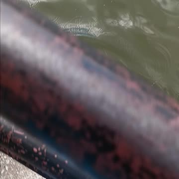 Personal best crappie