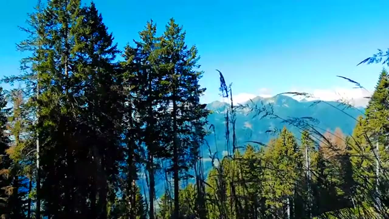 StayOptimistic.com - NEW Relaxing Music, Meditation Music, Yoga Music, Chill Music, & Study Music.