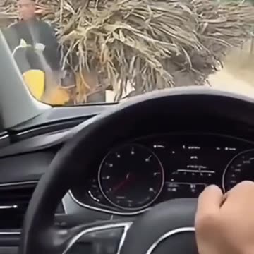 So stupid and sad...