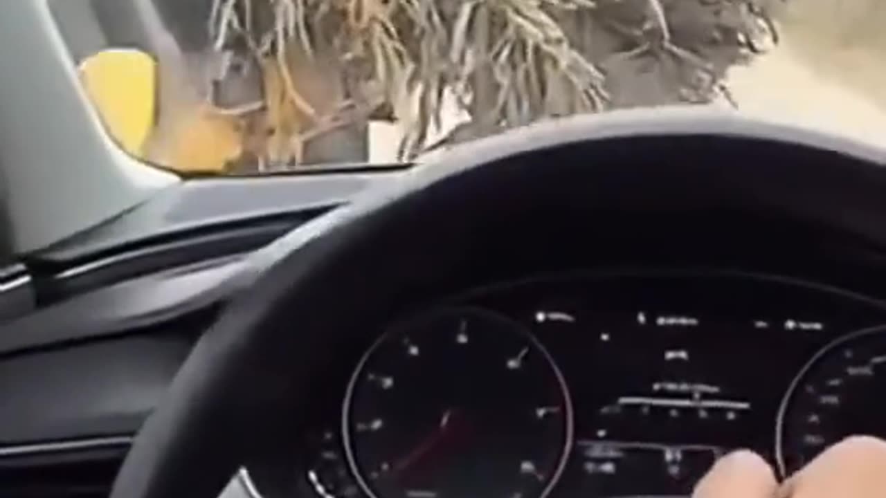 So stupid and sad...