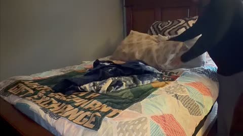 Making My Bed Every Day (Day 10) — Double Digits