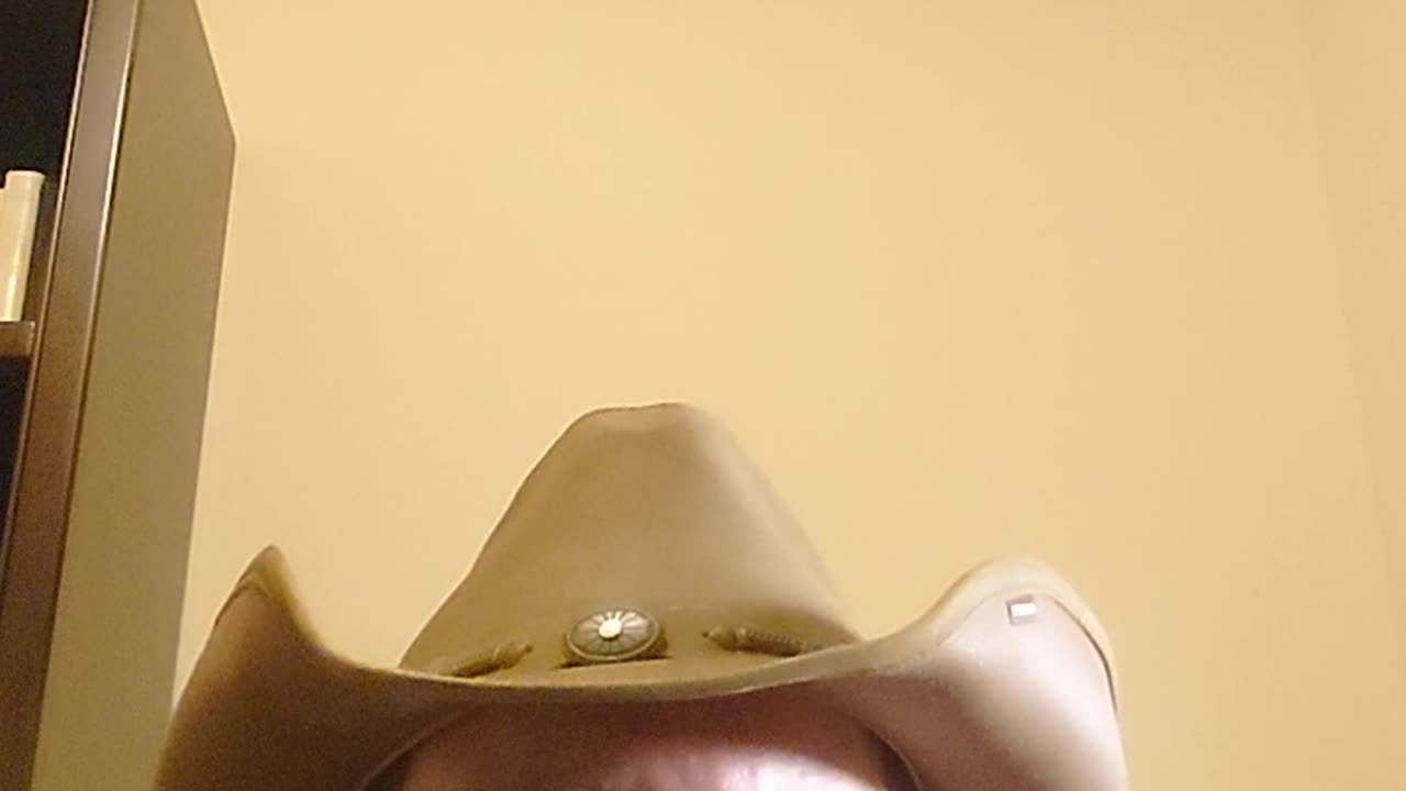 Postepy walczacej demokracji.