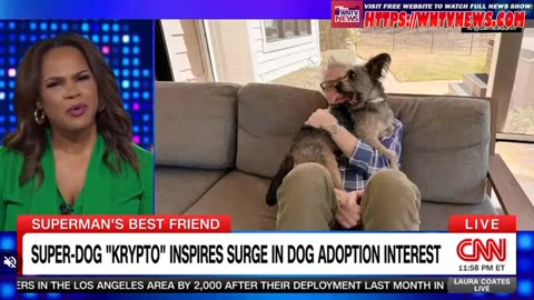 Laura Coates Live 11PM - 7/16/2025 - usbriefstoday.com