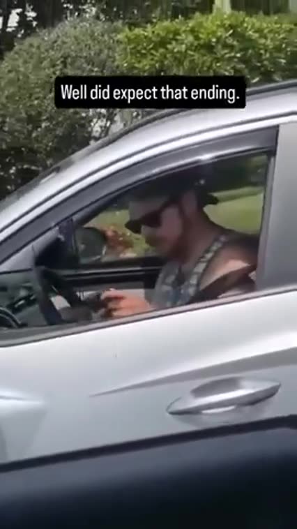 Children and mothers die when criminal jew spic pigs talking on their phone don't enforce lewd