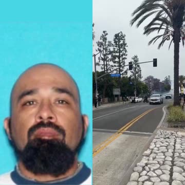 The suspected rock thrower in Los Angeles has been identified as 40-year-old Elpidio Reyna.