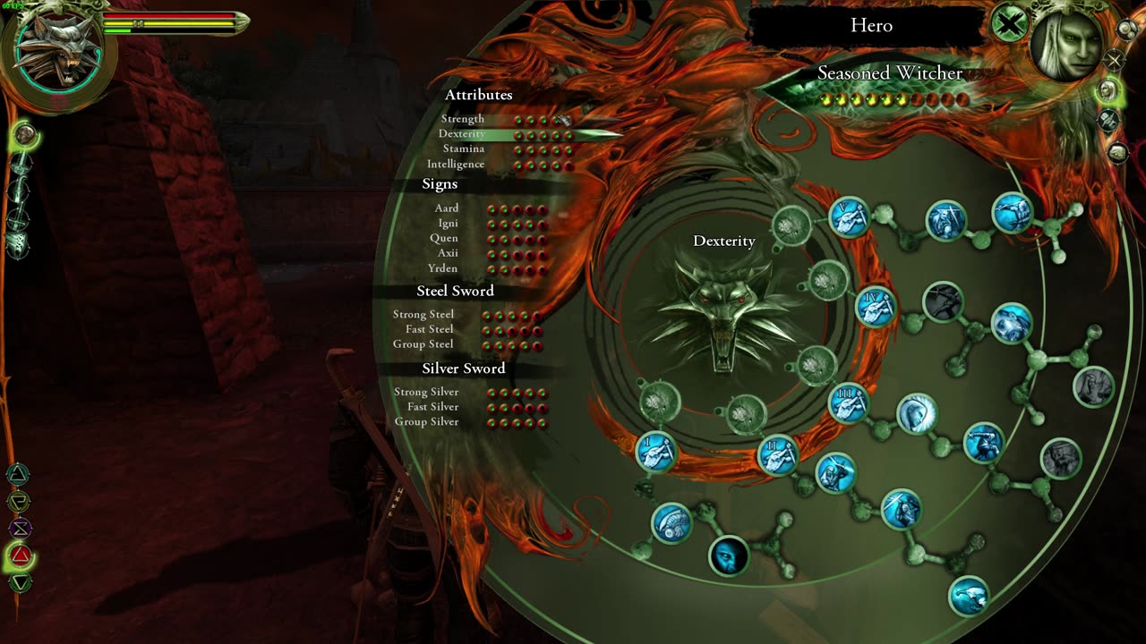 the witcher 1 save file showcase