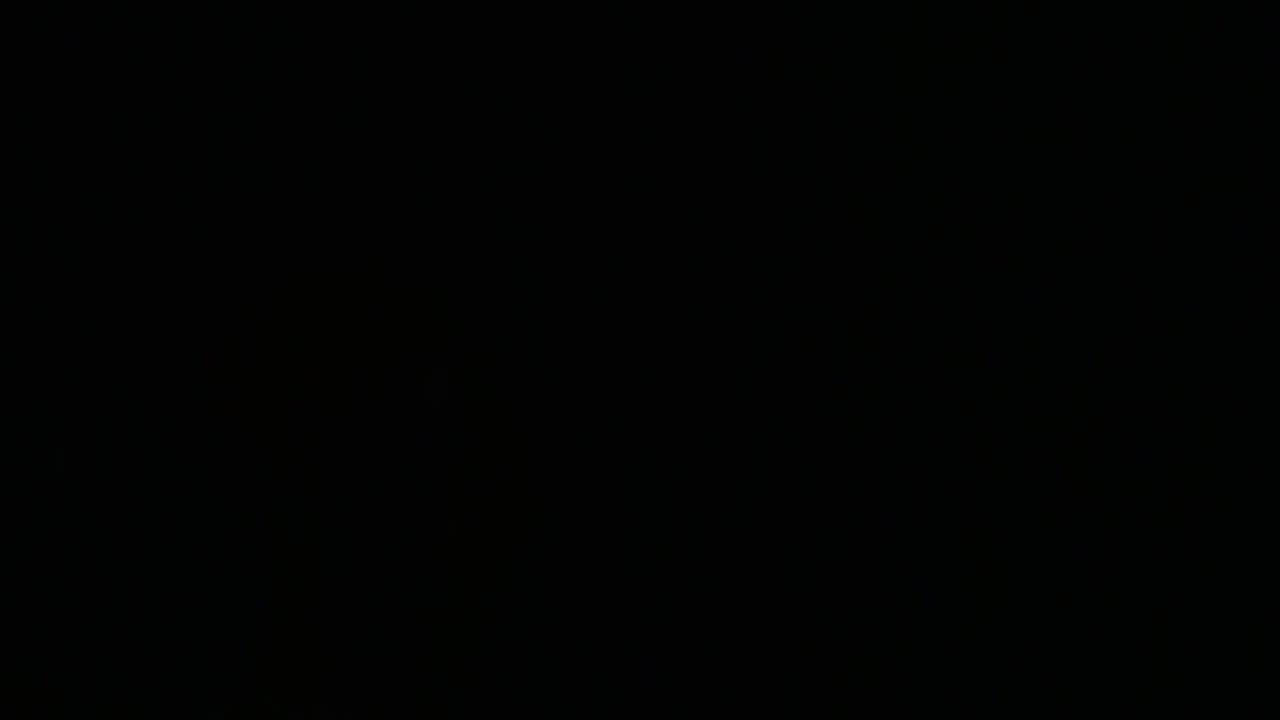 lightening streaked across the sky without thunder or storm & a light hovered above us then vanished