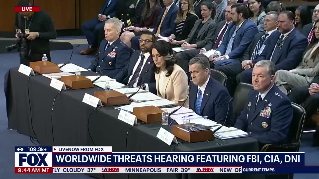 Signal chat update: Gabbard, Ratcliffe respond to Sen. Kelly's questions | LiveNOW from FOX