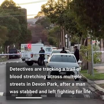 Man fights for life after stabbing in Devon Park - news.com.au