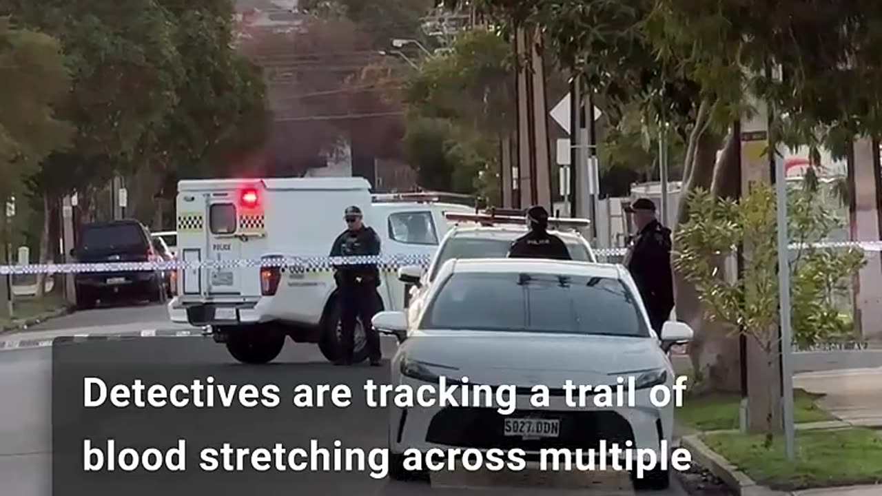 Man fights for life after stabbing in Devon Park - news.com.au