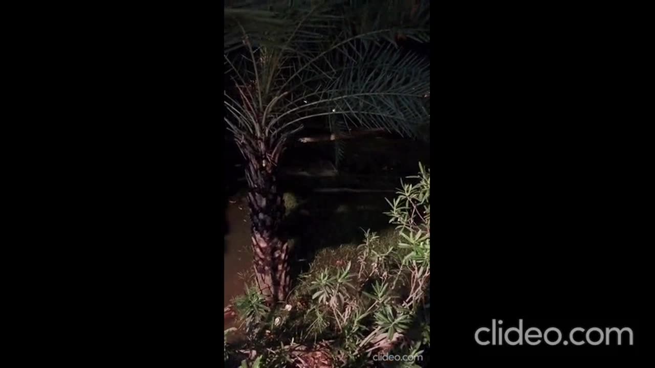Stp overflow discharges in a garden