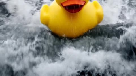 Water Soft toy duck in Ocean
