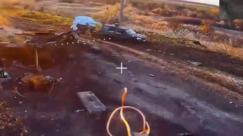 A Yuzhno-Donetsk traffic nightmare for lost pig-pickers