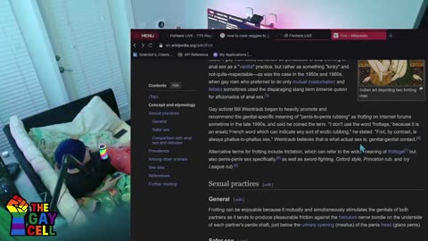 There is a limit to faggotory on the site - TheOneWhoIsGay elimination clip