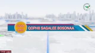 Qophii Sagalee Bosonaa ONM-ABO Adoolessa 12-2025 itti dhiyaadhaa!