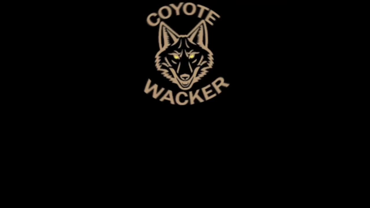 Easy Effective Coyote Set ,With A Sneaky Twist #TrenchSet
