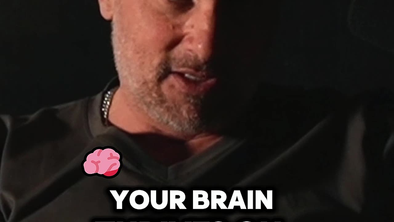Cholesterol and Your Brain, Understanding Its Vital Role