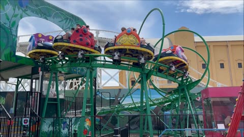 Speedy Beetle Ride