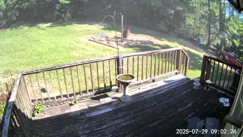 Professional Lawn Maintenance
