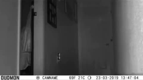 🔮💥 Strange Orb Activity Caught on Camera! | TheHauntingHour