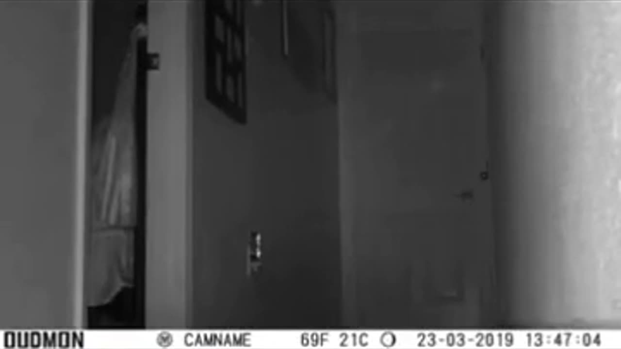 🔮💥 Strange Orb Activity Caught on Camera! | TheHauntingHour