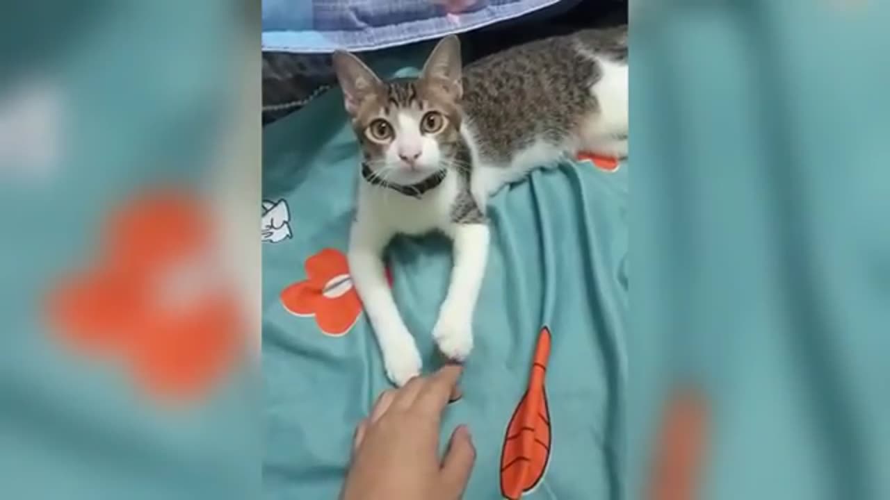 TRY NOT TO LAUGH 😆 Best Funny Videos Compilation 😂😁😆 Memes.