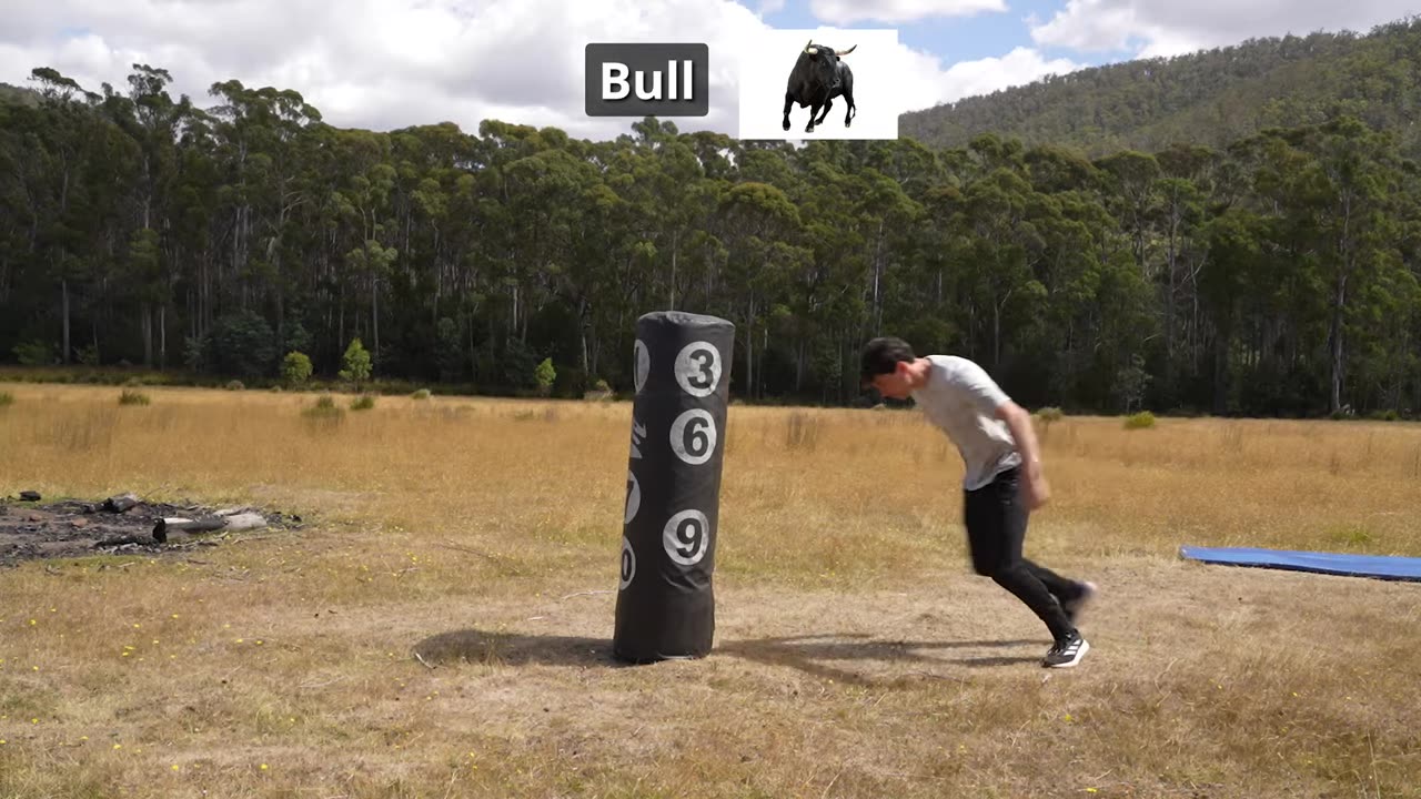 How Different Animals Exercise