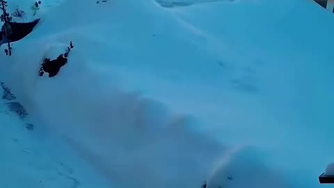 🤯✨ Winter Soap Bubbles Create Magical Patterns! | FeedMyCuriosity