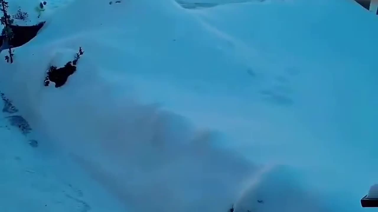 🤯✨ Winter Soap Bubbles Create Magical Patterns! | FeedMyCuriosity