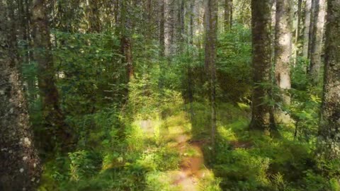 far hill sighs behind mist-wrapped song echoes