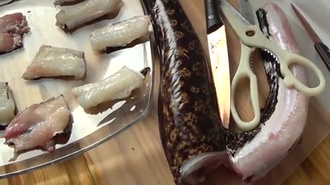come sfiletto la murena, pescata qualche giorno fa, e come friggo il filetto_part7