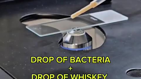 DROP OF WHISKEY VS MILLIONS OF BACTERIA