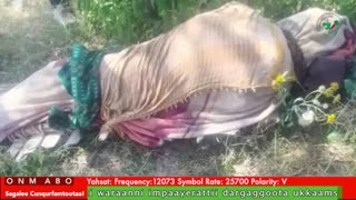 Oduu Galgala ONM-ABO Sadaasa 9-2025 itti dhiyaadhaa!