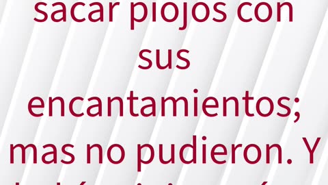 "El dedo de Dios" exodo 8:18,19 #shorts #youtube #ytshorts #jesus #views #shortvideo #youtubeshorts