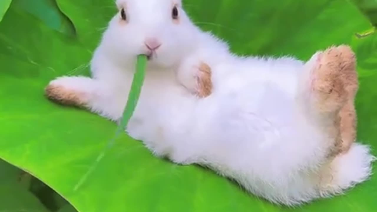 Weekend mood